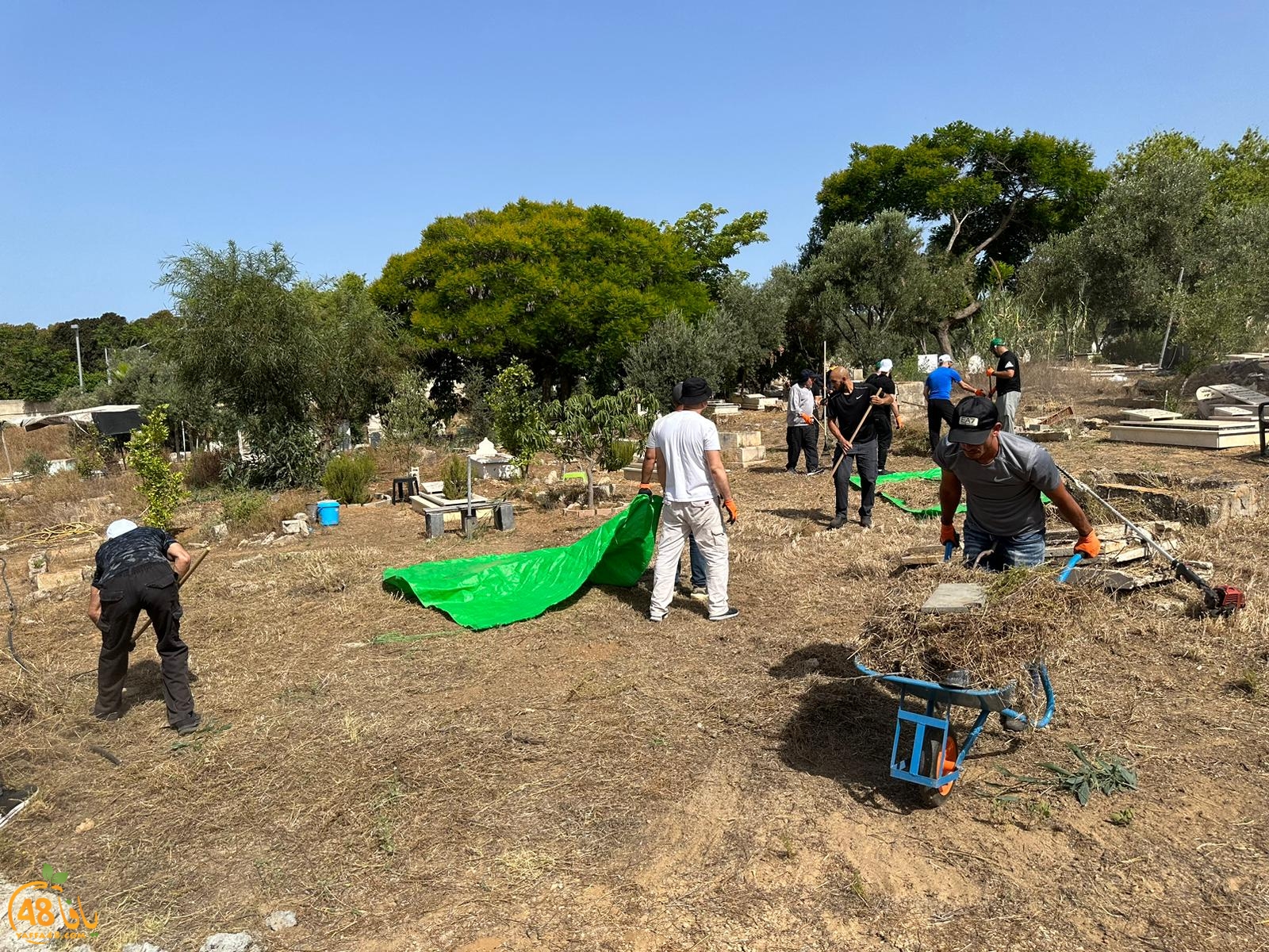 WhatsApp Image 2023-06-17 at 3.39.05 PM (2).jpeg